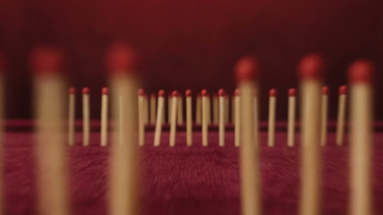 Rows of matchsticks standing on red velvet